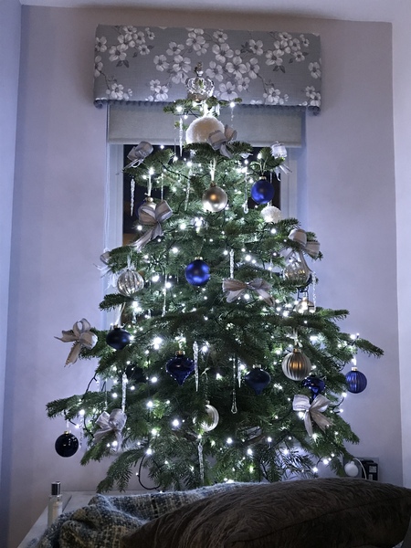 If you already have your tree up can I see it please?