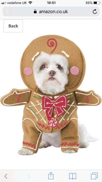Dd has asked for a Gingerbread man who runs away!!  Any ideas?