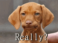PIL completely ignored my wishes again