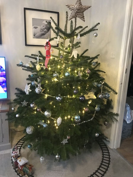 Lets see your trees!