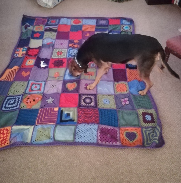 Woolly Hugs. A Blanket for 84CharingCrossRoad, lovely folk, we need your help.