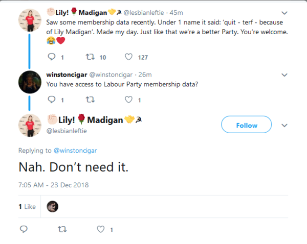 Lily Madigan and the School Saga