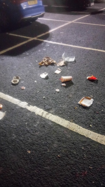 Anyone else AGHAST at the amount of rubbish on our streets?