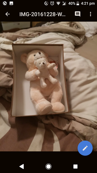Find teddy