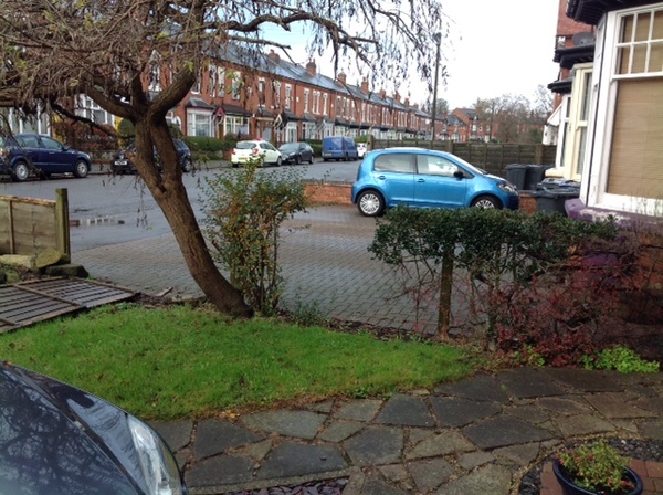 Planting Hedging
