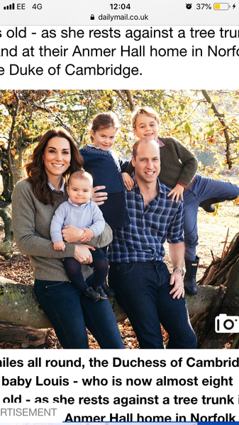 Prince Louis’s eyebrows are on fleek
