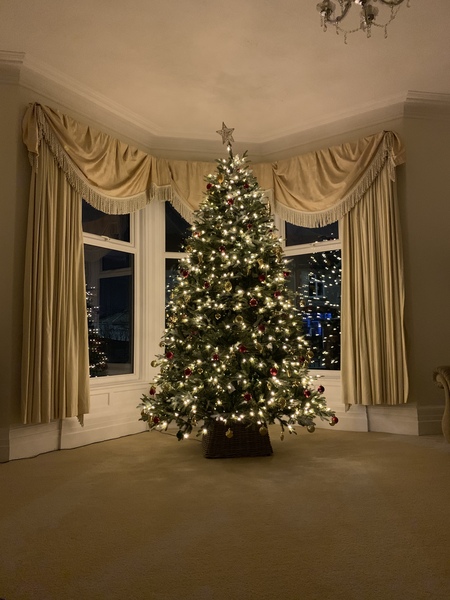 Lets see your trees 2018!