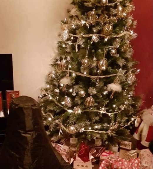 If you already have your tree up can I see it please?