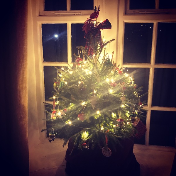If you already have your tree up can I see it please?