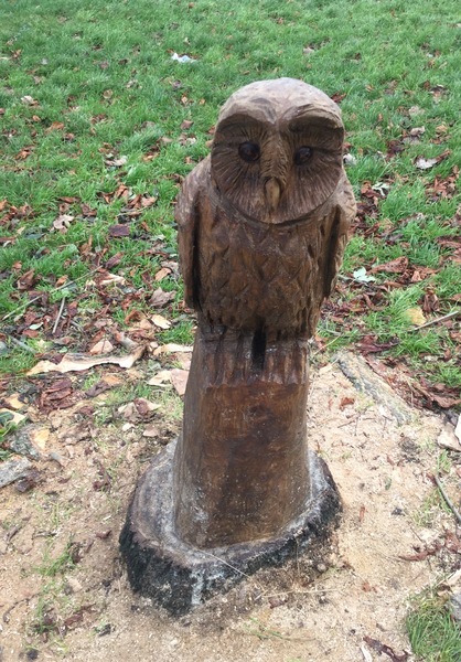 Join the night owls for chat, all welcome.