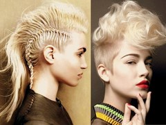 Salon recs for a mohican hairstyle 'hair up'
