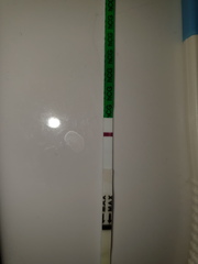 TTC FIRST BABY - THREAD 10!
