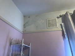 Damp specialists.... I need you!
