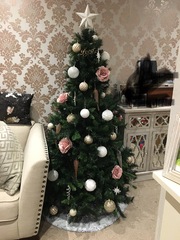 Lets see your trees 2018!