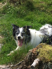 Please help, what are the vets & hospital not seeing?