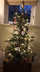 Lets see your trees 2018!