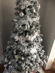 Lets see your trees 2018!
