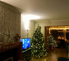 If you already have your tree up can I see it please?