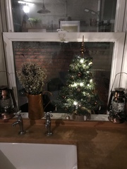 Lets see your trees 2018!