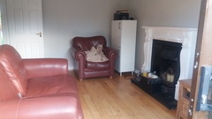 Accessories for living room suggestions?