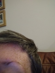 Eyebrow help, with pic