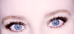 Eyebrows - should I go ahead? Pic