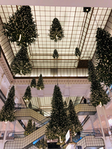 Les Parisiennes de Mamansnet: Orangutans in Paris make for poor gondoliers