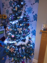 If you already have your tree up can I see it please?