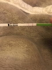 Positive ovulation test?