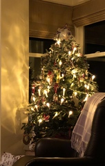 Lets see your trees 2018!