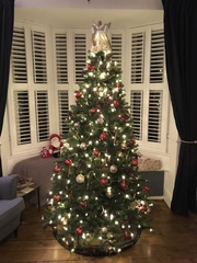 Lets see your trees 2018!