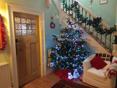 If you already have your tree up can I see it please?