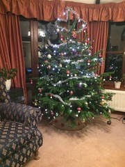 Any Witches Here Part 5.