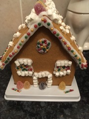 Gingerbread house kits- your reviews