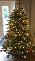 If you already have your tree up can I see it please?