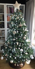 If you already have your tree up can I see it please?