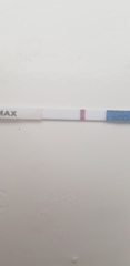 2 week wait