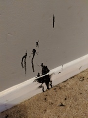 gutting my sons bedroom in 30 minutes...