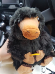 I really don't need a niffler....