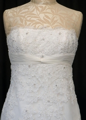 I LOVE my dress...BUT...pictures provided