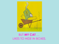 My cat likes to hide in boxes.