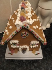 Gingerbread house kits- your reviews