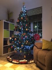 If you already have your tree up can I see it please?