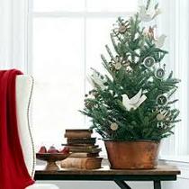 Christmas Decorations