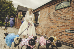 To ask for your 'cheap' wedding tips