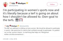 Lily Madigan and the School Saga