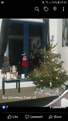 I have tree envy :-(