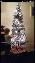 I have tree envy :-(