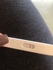 Help? Is this positive?