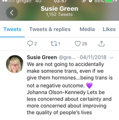 Mermaids given £500,000 by National Lottery (Sunday Times)